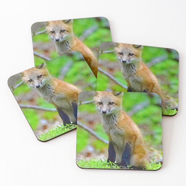 Item preview, Red Fox Kit Sits Outside of Den designed and sold by AMacGPhilly.