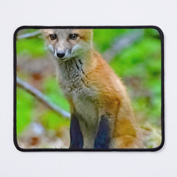 Item preview, Red Fox Kit Sits Outside of Den designed and sold by AMacGPhilly.