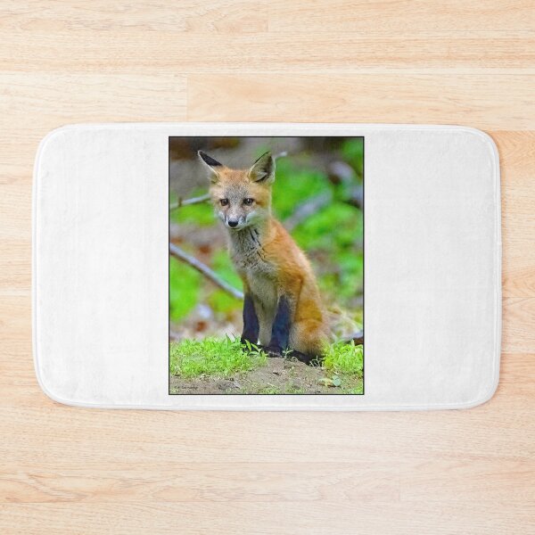 Item preview, Red Fox Kit Sits Outside of Den designed and sold by AMacGPhilly.