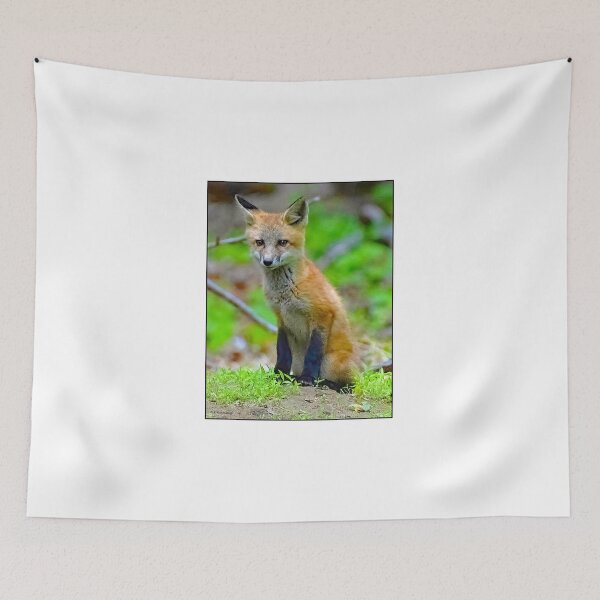 Item preview, Red Fox Kit Sits Outside of Den designed and sold by AMacGPhilly.