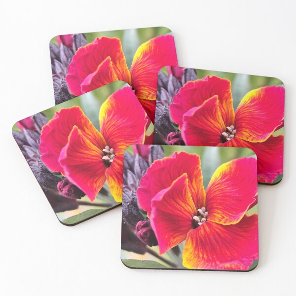 Item preview, Beautiful Red Orange Blooming Flowers From Home Garden Digital Photography designed and sold by vtspatial.