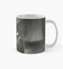 Portrait of black cat square black and white analogue medium format film Hasselblad photograph Mug