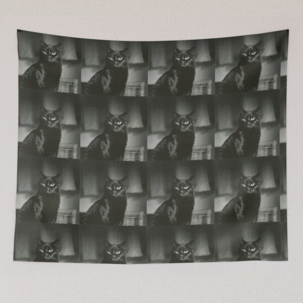Item preview, Portrait of black cat square black and white analogue medium format film Hasselblad  photograph designed and sold by edwardolive.