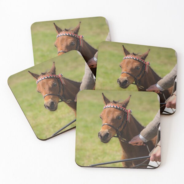 Item preview, Young Foal with Owner designed and sold by heidipics.