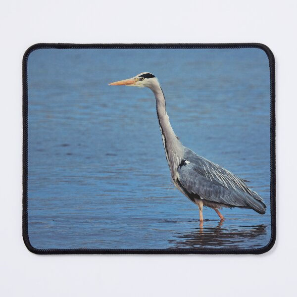 Item preview, The grey heron designed and sold by Tom McPherson Photography.