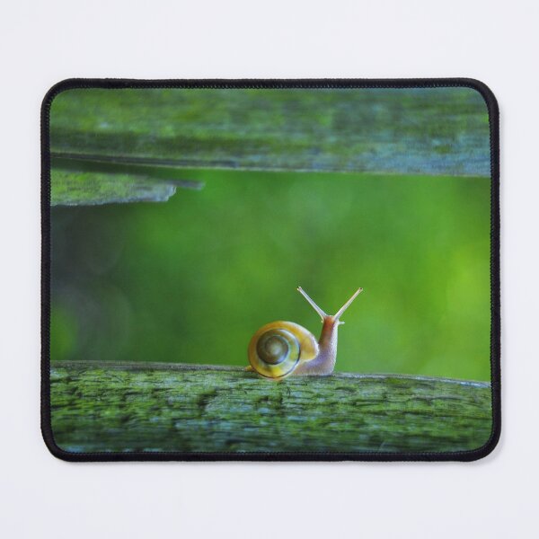 Item preview, A Moment of Calm - Microcosmos Photography Fine Art designed and sold by SoulArchitect.