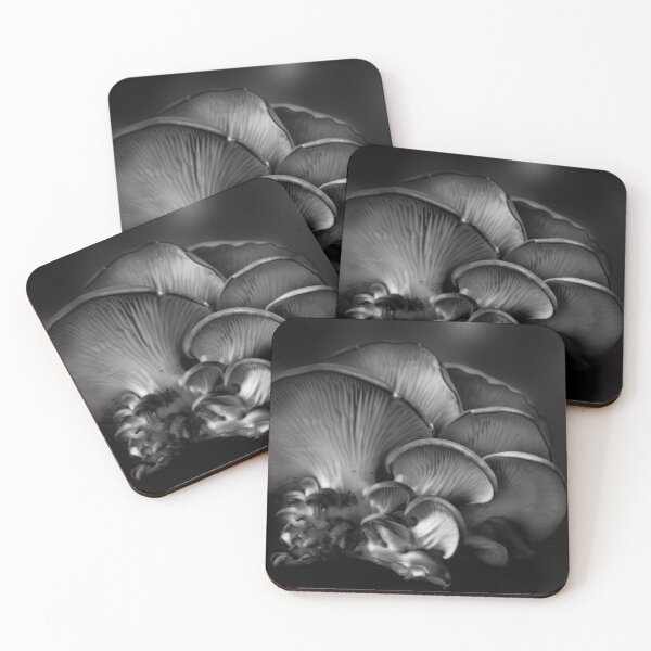 Item preview, Shelf Fungus Monochrome designed and sold by Wayne King.