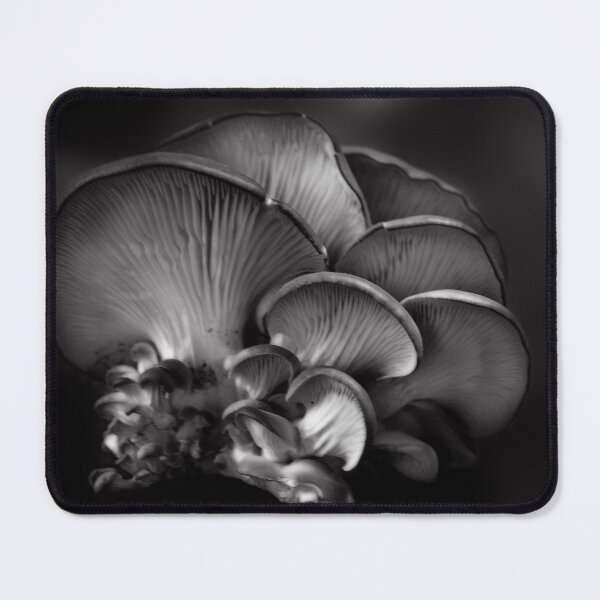 Item preview, Shelf Fungus Monochrome designed and sold by Wayne King.