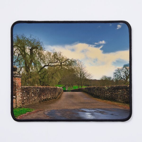 Item preview, Narrow Bridge designed and sold by JEZ22.