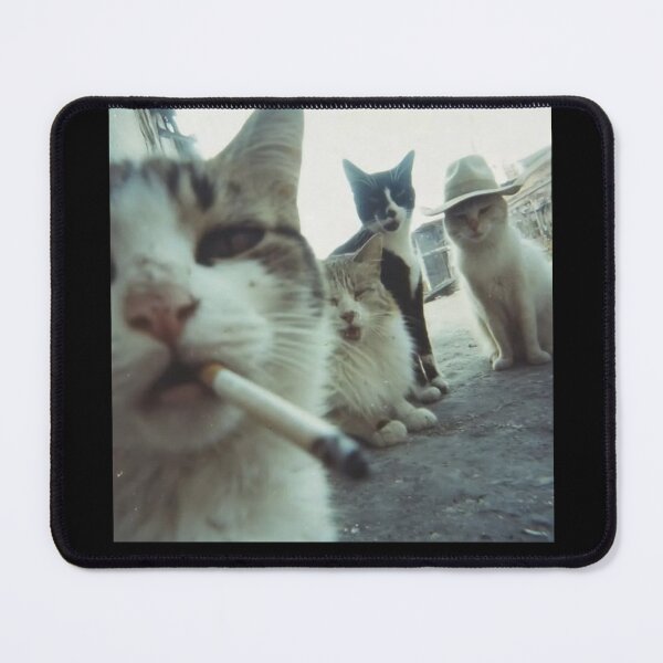 Item preview, Funny Cats Cute Cartoon Illustration designed and sold by PinkiArt.