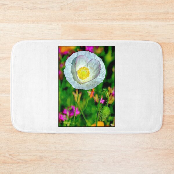Item preview, White Poppy Wildflower in Full Bloom, Single Bud designed and sold by AMacGPhilly.