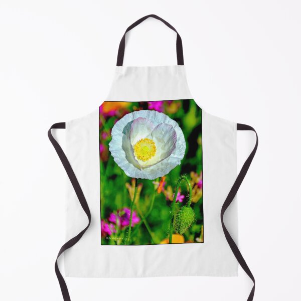 Item preview, White Poppy Wildflower in Full Bloom, Single Bud designed and sold by AMacGPhilly.