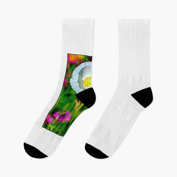 Item preview, White Poppy Wildflower in Full Bloom, Single Bud designed and sold by AMacGPhilly.