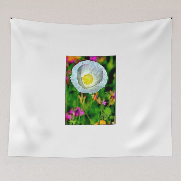 Item preview, White Poppy Wildflower in Full Bloom, Single Bud designed and sold by AMacGPhilly.