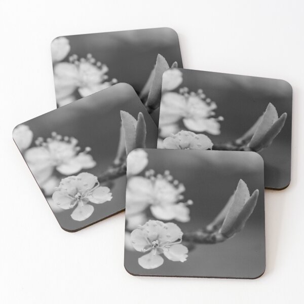 Item preview, Plum Blossom designed and sold by carawalton.