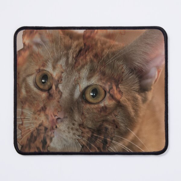 Item preview, orange cat flaming eyes edit – surreal dark humor meme – absurd internet sticker designed and sold by lydiahtml04.