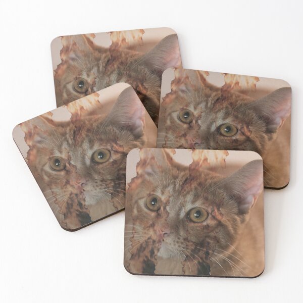 Item preview, orange cat flaming eyes edit – surreal dark humor meme – absurd internet sticker designed and sold by lydiahtml04.
