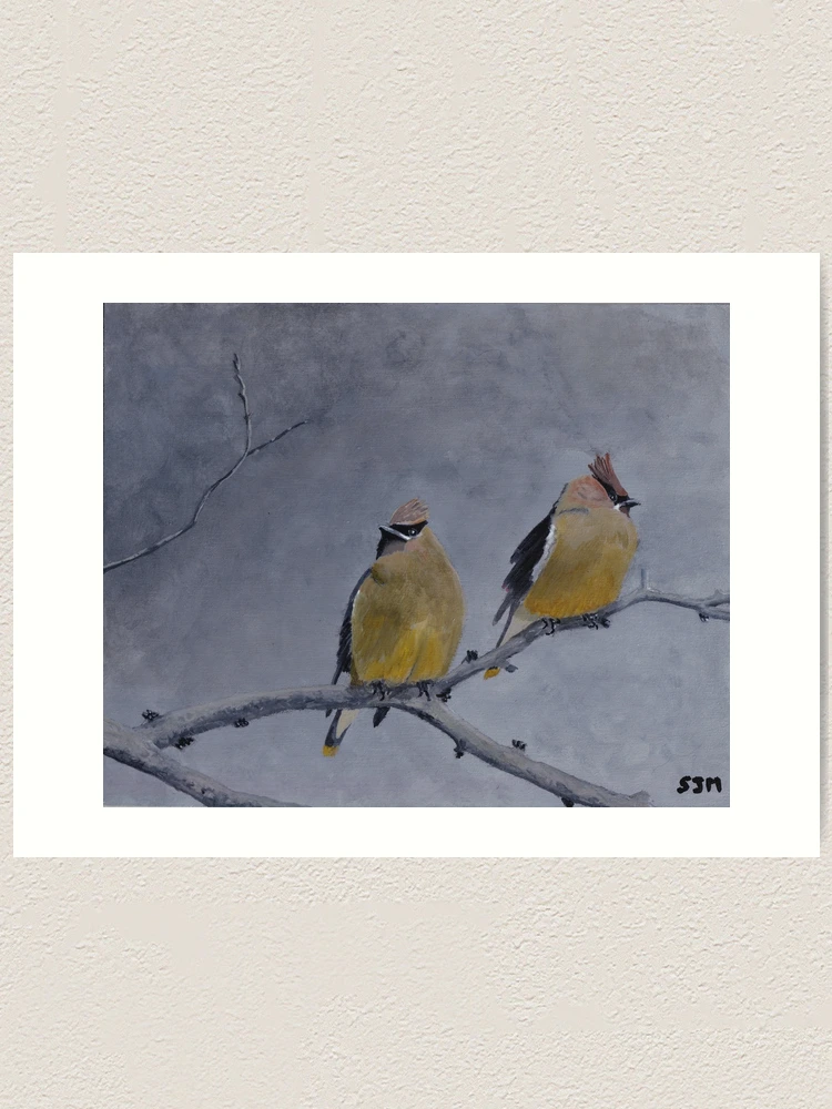 Cedar Waxwings