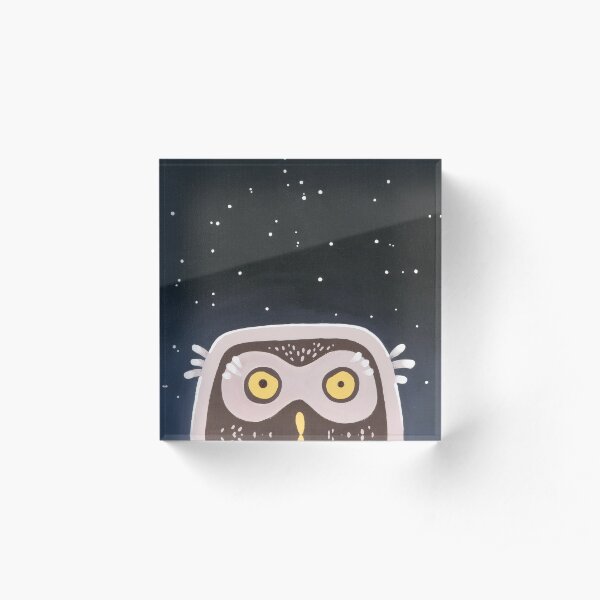 Little Owl Acrylic Block