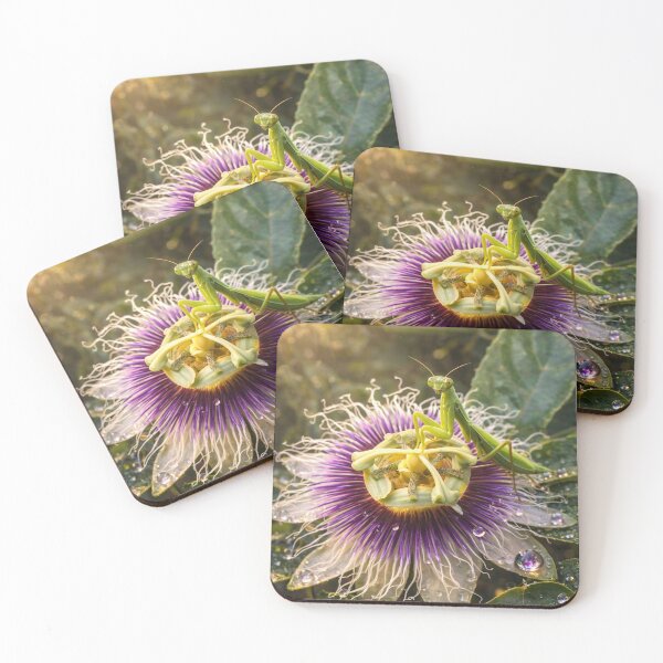 Item preview, Dewlight Guardian – Praying Mantis on Passionflower designed and sold by Kimberly Palmer.