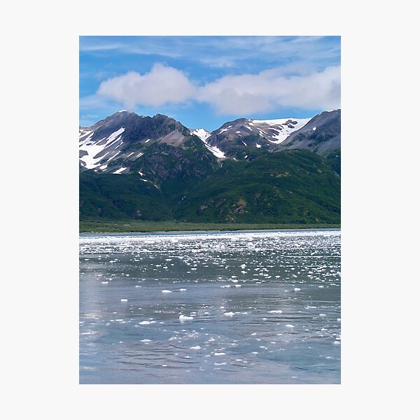 Item preview, Kenai Fjords National Park designed and sold by Dandelion Dilluvio.