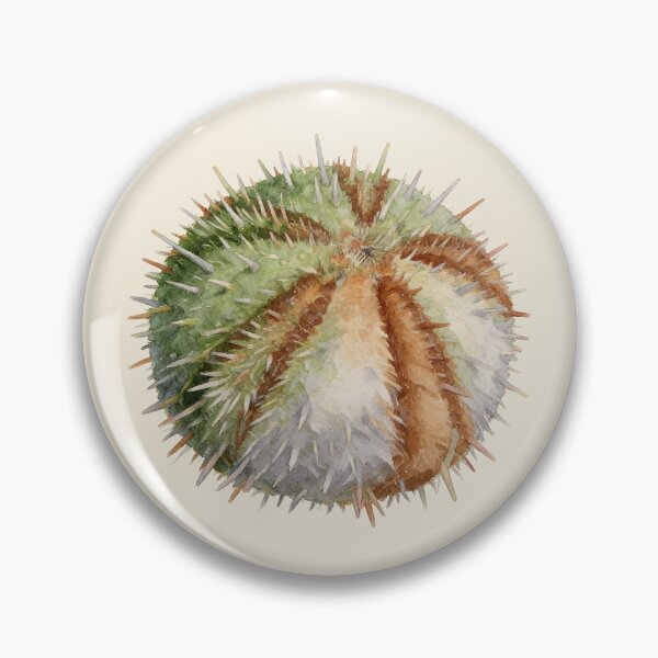 Item preview, Sea Urchin (Echinus esculentus) designed and sold by AhojAnezkaAhoj.