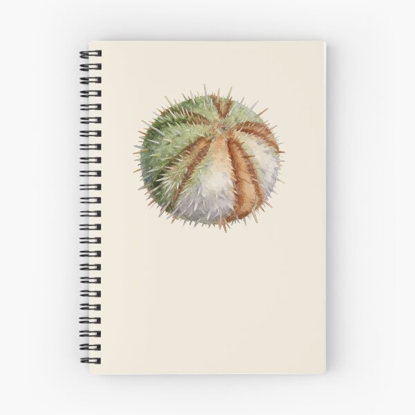 Item preview, Sea Urchin (Echinus esculentus) designed and sold by AhojAnezkaAhoj.