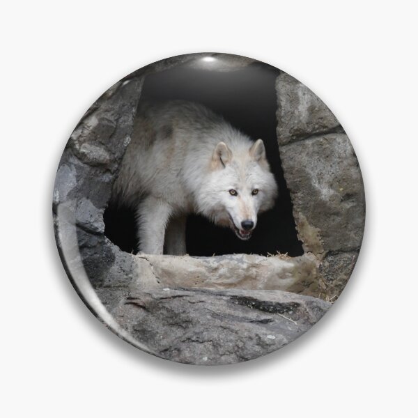 Item preview, Wolf Emerging from Rocky Den designed and sold by richardbryce.