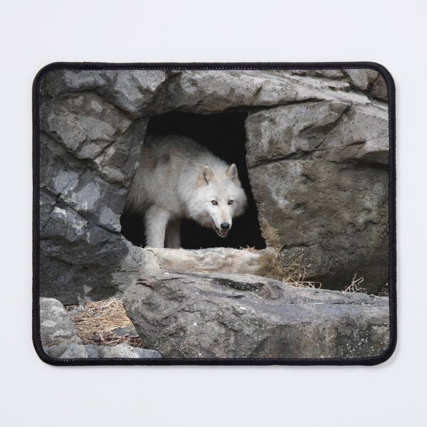 Item preview, Wolf Emerging from Rocky Den designed and sold by richardbryce.