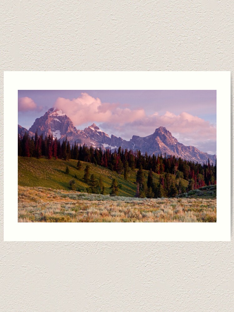 Alternate view of The Grand, Teewinot, and Mt. Owen... the Tetons Art Print