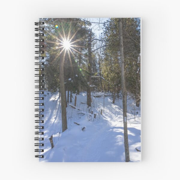 Item preview, Sunlit Snowy Path in Silver Creek Conservation Area designed and sold by jrtwynam.