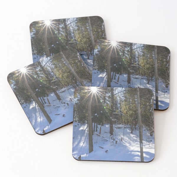 Item preview, Sunlit Snowy Path in Silver Creek Conservation Area designed and sold by jrtwynam.
