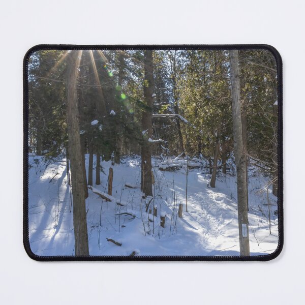 Item preview, Sunlit Snowy Path in Silver Creek Conservation Area designed and sold by jrtwynam.