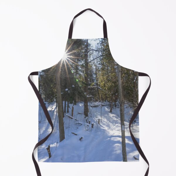 Item preview, Sunlit Snowy Path in Silver Creek Conservation Area designed and sold by jrtwynam.