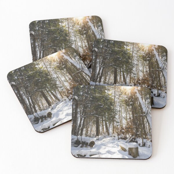 Item preview, Sunlit Winter Forest in Silver Creek Conservation Area designed and sold by jrtwynam.