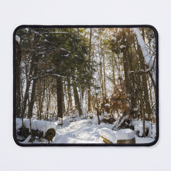 Item preview, Sunlit Winter Forest in Silver Creek Conservation Area designed and sold by jrtwynam.