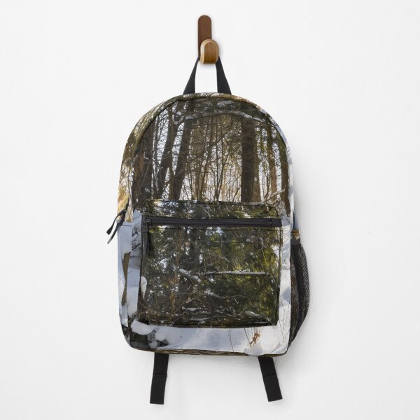 Item preview, Sunlit Winter Forest in Silver Creek Conservation Area designed and sold by jrtwynam.