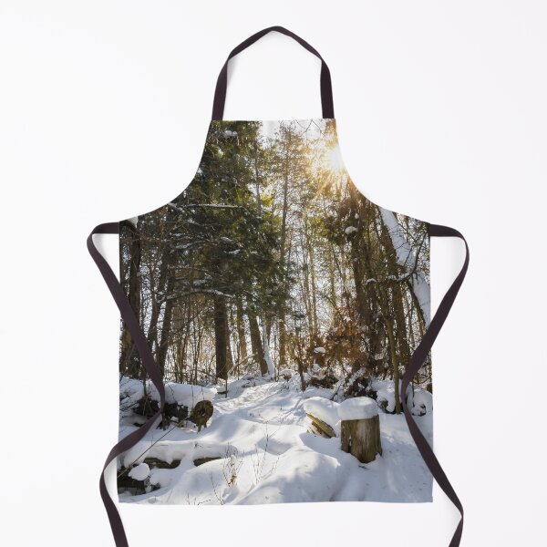 Item preview, Sunlit Winter Forest in Silver Creek Conservation Area designed and sold by jrtwynam.