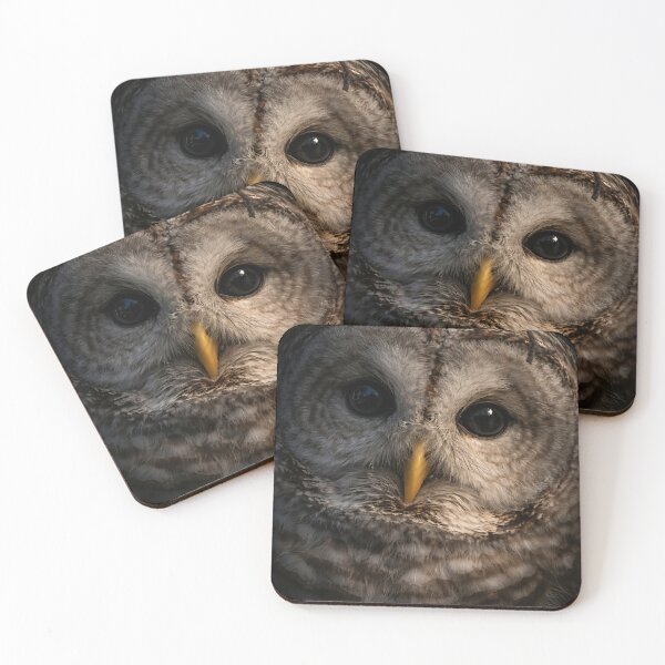 Item preview, Barred Owl Portrait designed and sold by locustgirl.