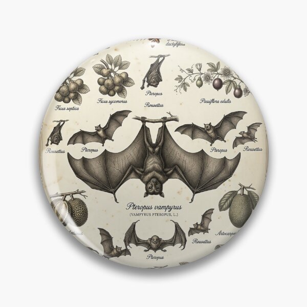 Item preview, Vintage Fruit Bat Illustration – 19th Century Naturalist Plate designed and sold by Pekapeka of NZ.