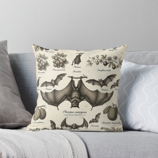 Item preview, Vintage Fruit Bat Illustration – 19th Century Naturalist Plate designed and sold by Pekapeka of NZ.