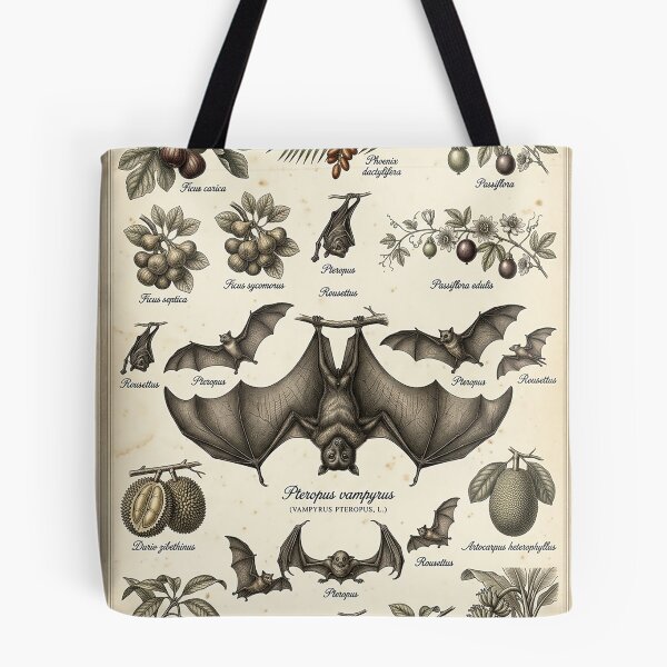 Item preview, Vintage Fruit Bat Illustration – 19th Century Naturalist Plate designed and sold by Pekapeka of NZ.