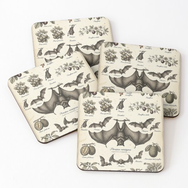 Item preview, Vintage Fruit Bat Illustration – 19th Century Naturalist Plate designed and sold by Pekapeka of NZ.