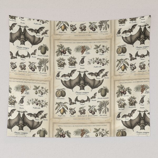 Item preview, Vintage Fruit Bat Illustration – 19th Century Naturalist Plate designed and sold by Pekapeka of NZ.