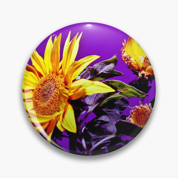 Item preview, Sunflowers at Rhossili Gower Peninsula South Wales designed and sold by Radiocafe.