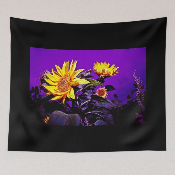 Item preview, Sunflowers at Rhossili Gower Peninsula South Wales designed and sold by Radiocafe.