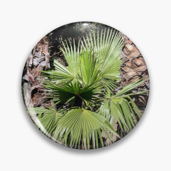 Item preview, Between the Trees designed and sold by heatherfriedman.