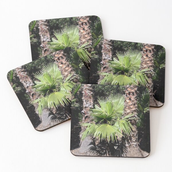 Item preview, Between the Trees designed and sold by heatherfriedman.