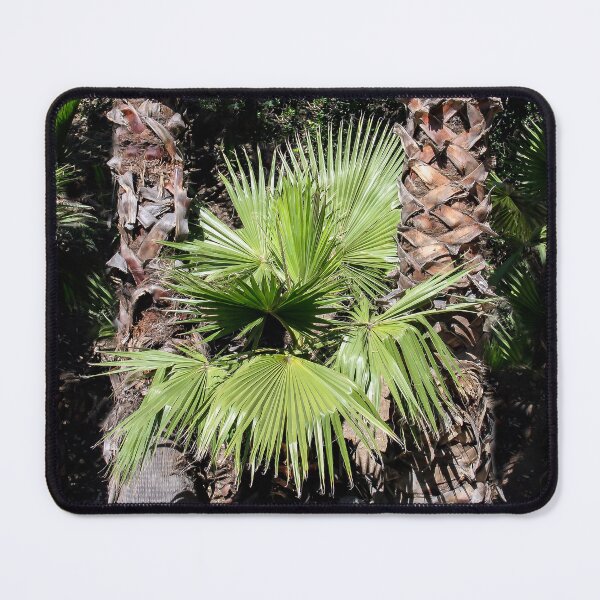 Item preview, Between the Trees designed and sold by heatherfriedman.