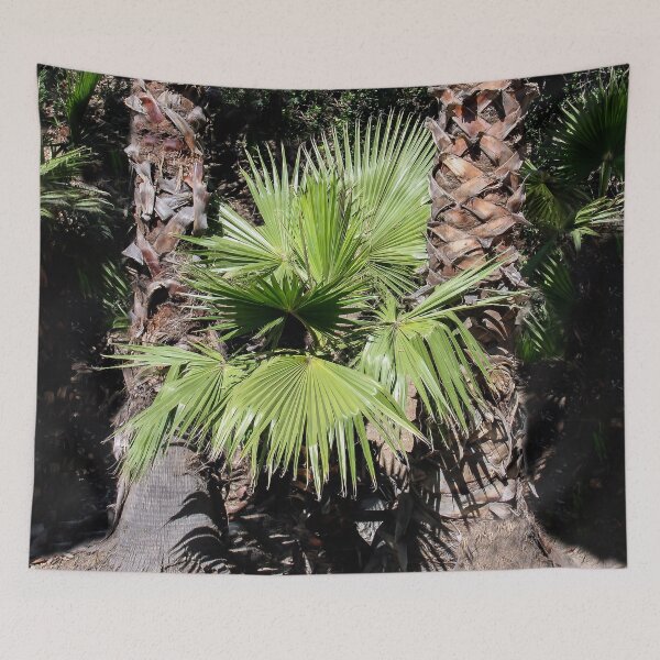 Item preview, Between the Trees designed and sold by heatherfriedman.